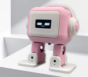 AI Desktop Buddy Robot