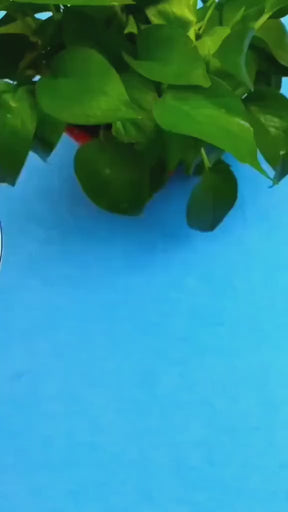 Turbine Mini Washing Machine